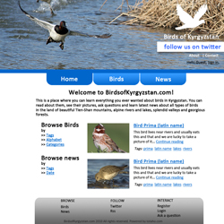 birds of kyrgyzstan